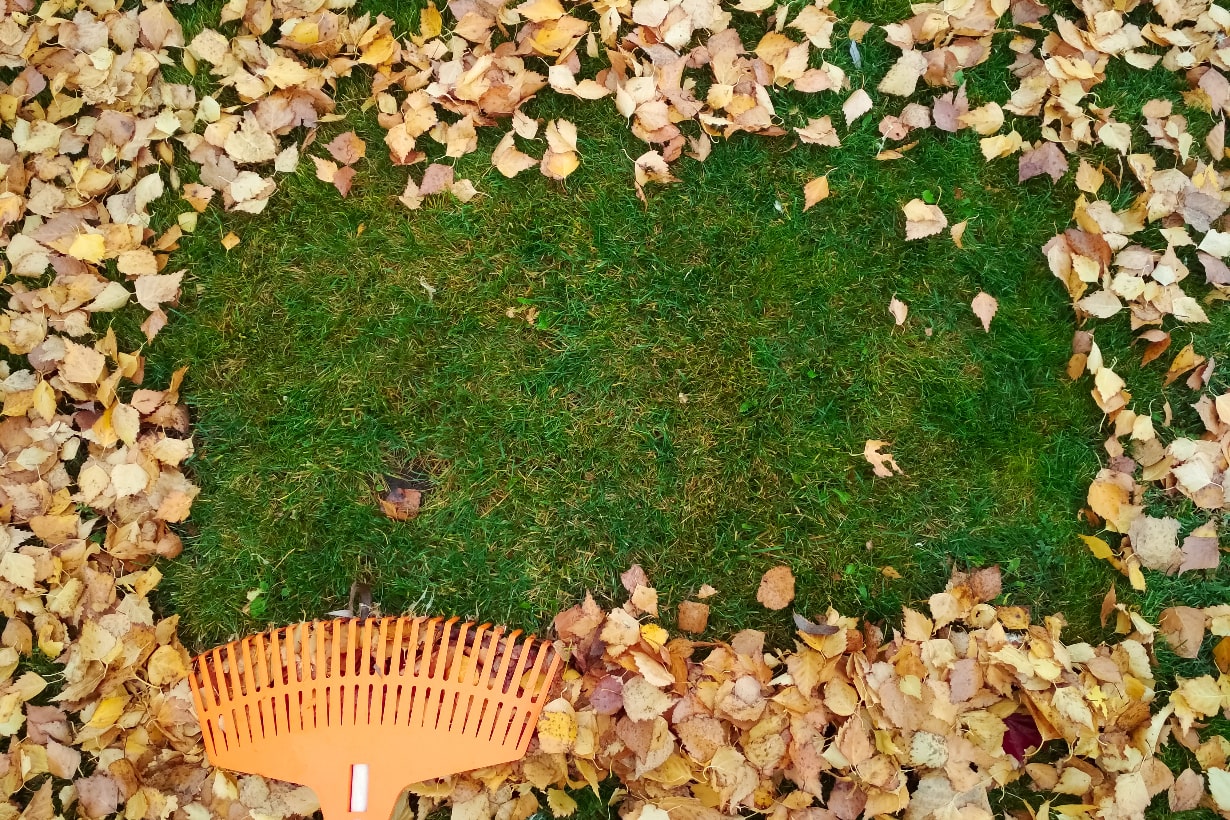 Pile of fall