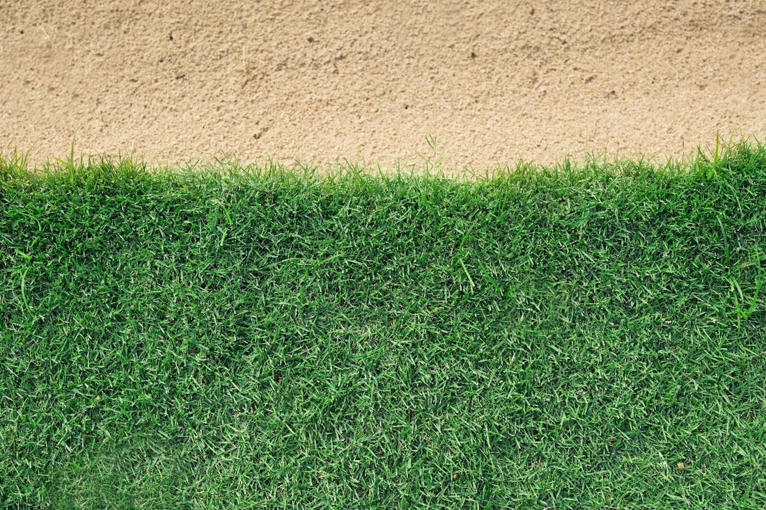 background of green