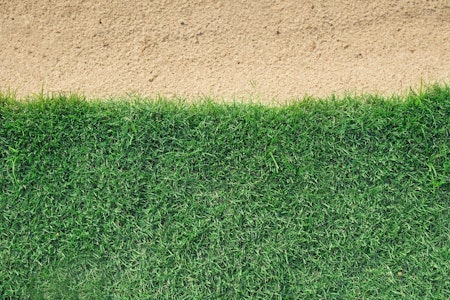 background of green