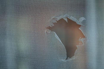 Mosquito screen with