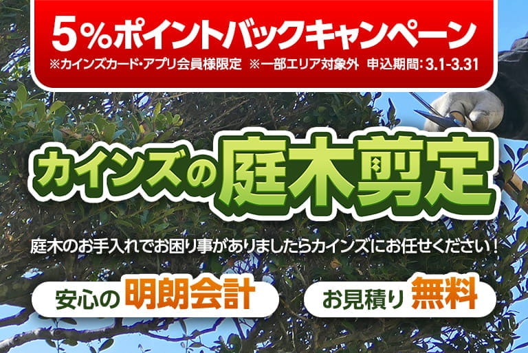 カインズの庭木剪定