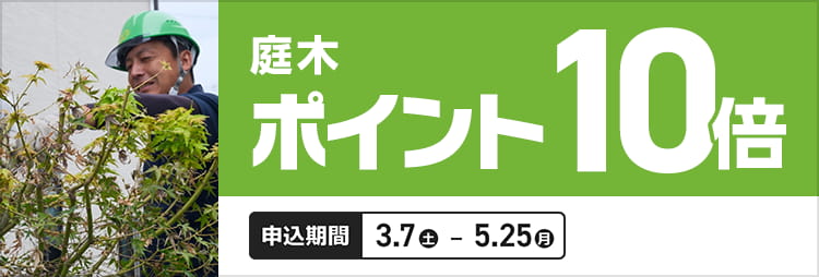 見積依頼(庭の手入れ) 庭木剪定 | くらしサポート | カインズ・リフォーム