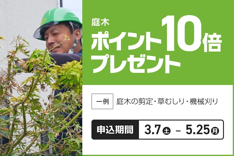 庭木剪定ポイント10倍キャンペーン