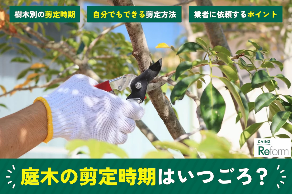庭木の剪定時期はいつが適切?種類別の目安やプロに依頼するポイント 庭木の剪定時期はいつが適切?種類別の目安やプロに依頼するポイント