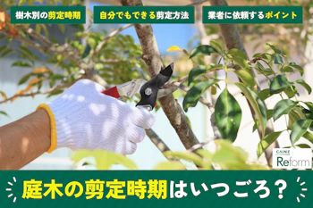 庭木の剪定時期はいつごろ?