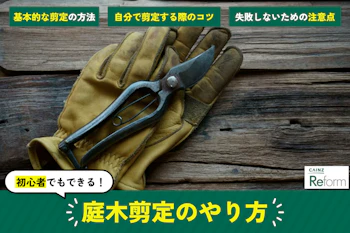 庭木剪定のやり方