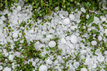 雹害（ひょうがい）とは？住宅への被害と火災保険の活用方法