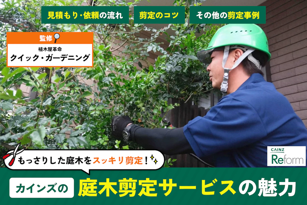 シマトネリコが手に負えない!カインズの剪定サービスで玄関がとてもスッキリした話【株式会社クイック・ガーデニング監修】 シマトネリコが手に負えない!カインズの剪定サービスで玄関がとてもスッキリした話【株式会社クイック・ガーデニング監修】