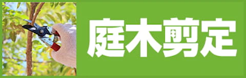 庭木剪定ポイント10倍キャンペーン