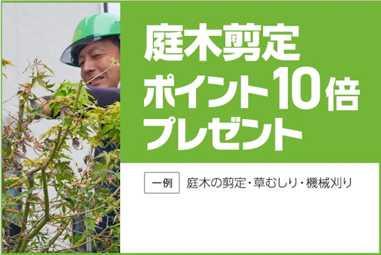庭木剪定ポイント10倍キャンペーン